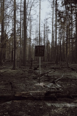 Стеклянный -04.jpg